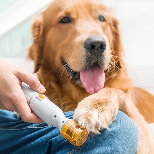 Electric Pet Nail Trimmer