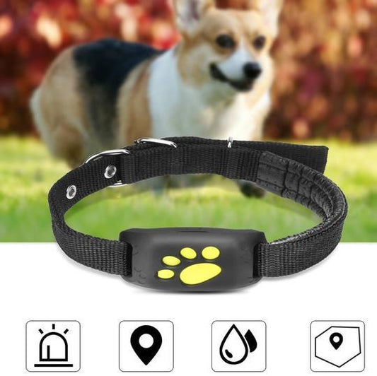 GPS Pet Tracker for Dogs – Real-Time Location & Safety