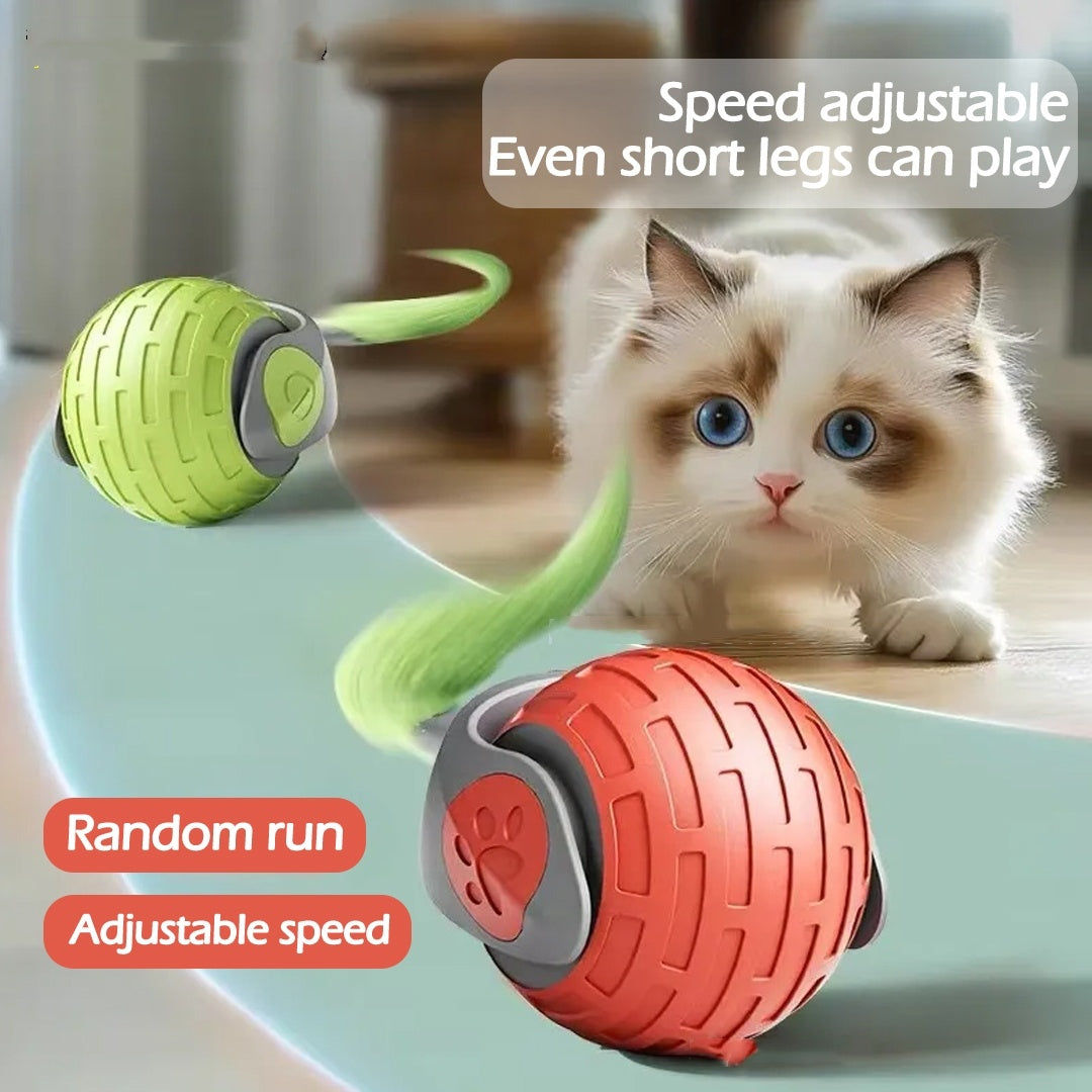 Interactive Cat Ball Toy with Feather, Motion Activated Automatic Cat Toys, USB Rechargeable Toys.