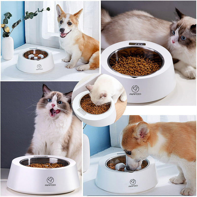 Intelligent FeedScale Pet Bowl — Balanced Meals, Happier Pets