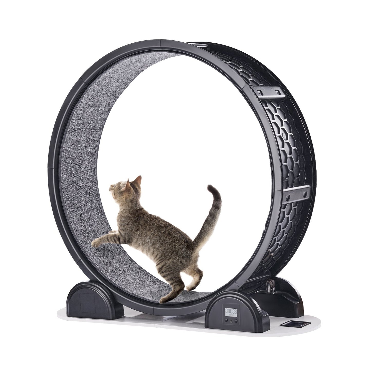 Smart Cat Exercise Wheel with Pedometer – Indoor Treadmill for Pet Fitness (Black)