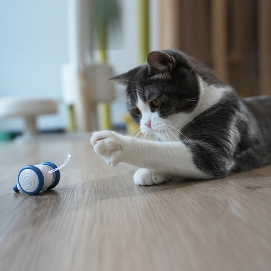 Electric Mouse Cat Toy – Automatic Smart Interactive Play Toy for Indoor Cats