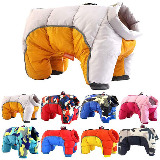 Insulated Teddy-Style Dog Winter Jacket / Cotton Down Coat