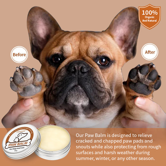 Paw And Foot Moisturizing Care Cream
