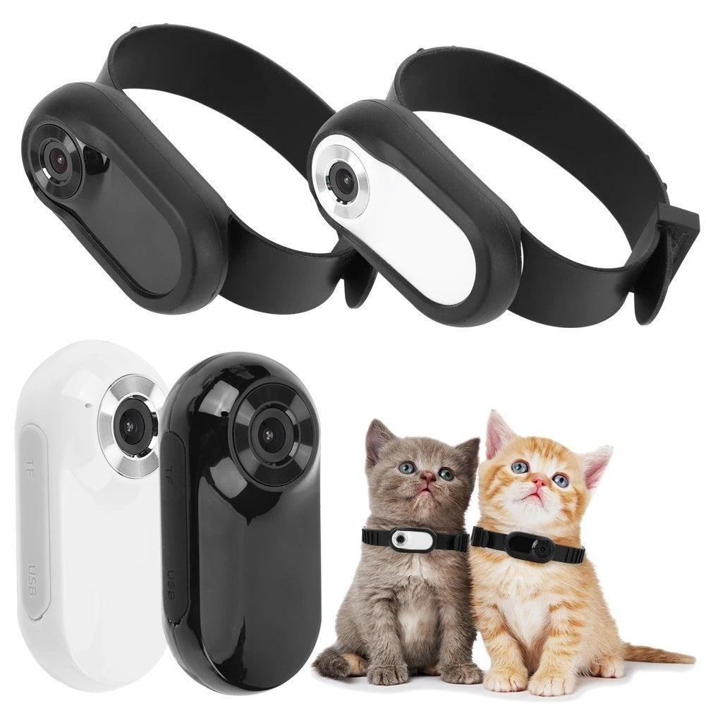 Cat Collar Camera